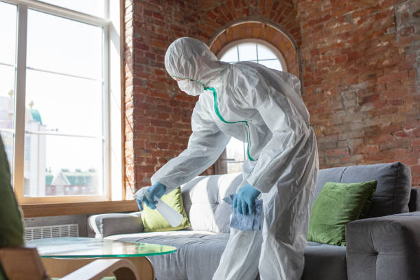 Best Asbestos and Lead Testing During Mold Inspection  in USA